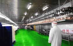 屠宰加工行业——山东民和牧业