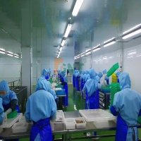 一款能使用30年的专业食品肉类 加工车间地面解决方案